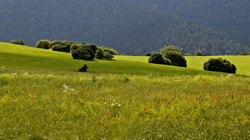 Penzion Mlynarov Dvor Dubrava Εξωτερικό φωτογραφία